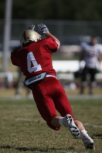 开云体育下载官网-五大联赛是否在中场搭配中加入更多防守倾向球员，五大联赛最强中场